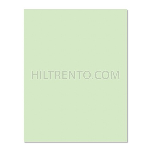 Cartulina verde claro 240g 50x65cm